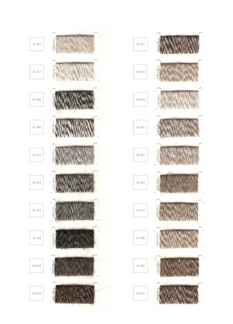 Michell Alpaca Natural Colours