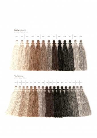 Stock Service Alpaca and Blends Hong Kong CardA/W 12-13
