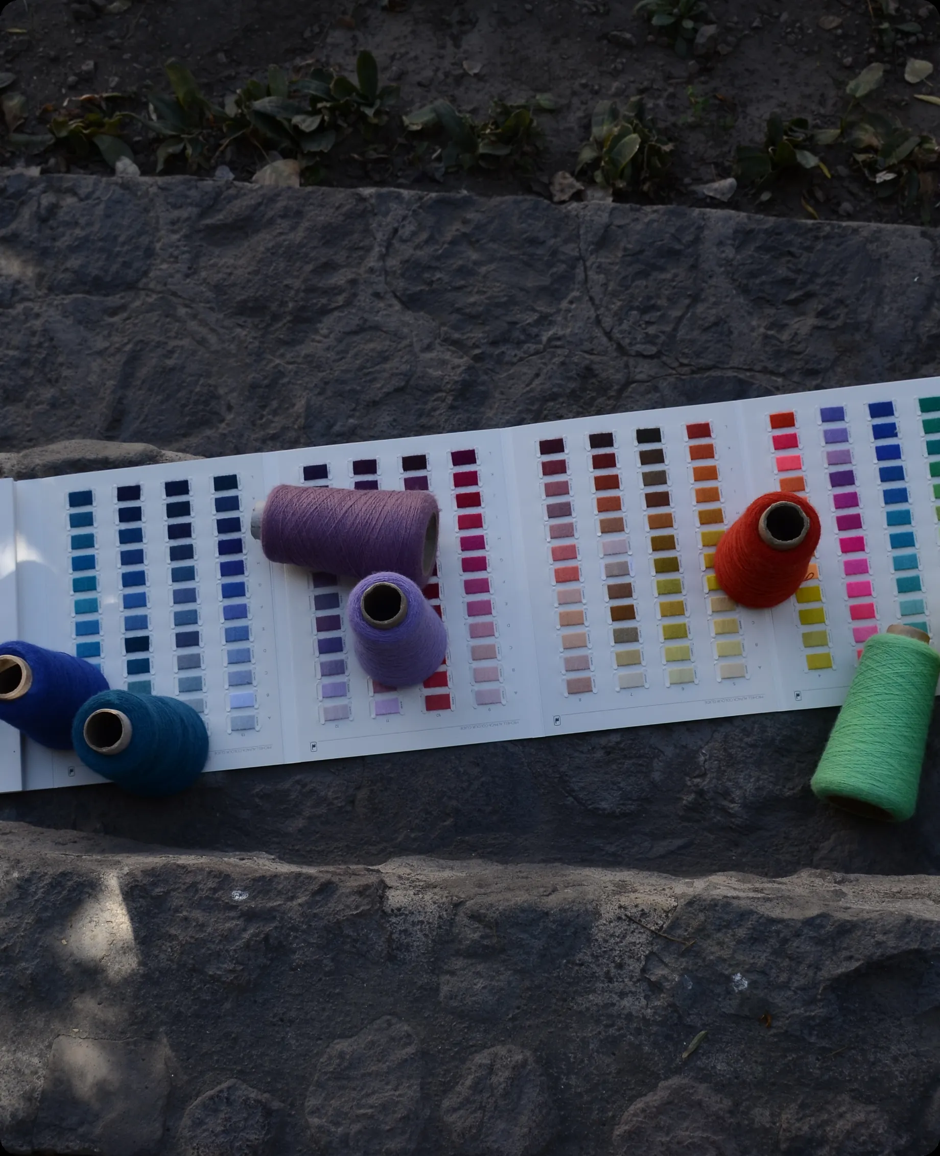 Alpaca Colour Guide
